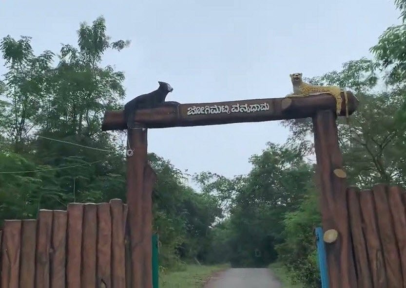 Jogimatti Wildlife Sanctuary, Chitradurga, Karnataka - Vushii.com Jogimatti Wildlife Sanctuary, Chitradurga, Karnataka - Vushii.com
